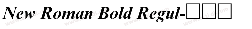 New Roman Bold Regul字体转换